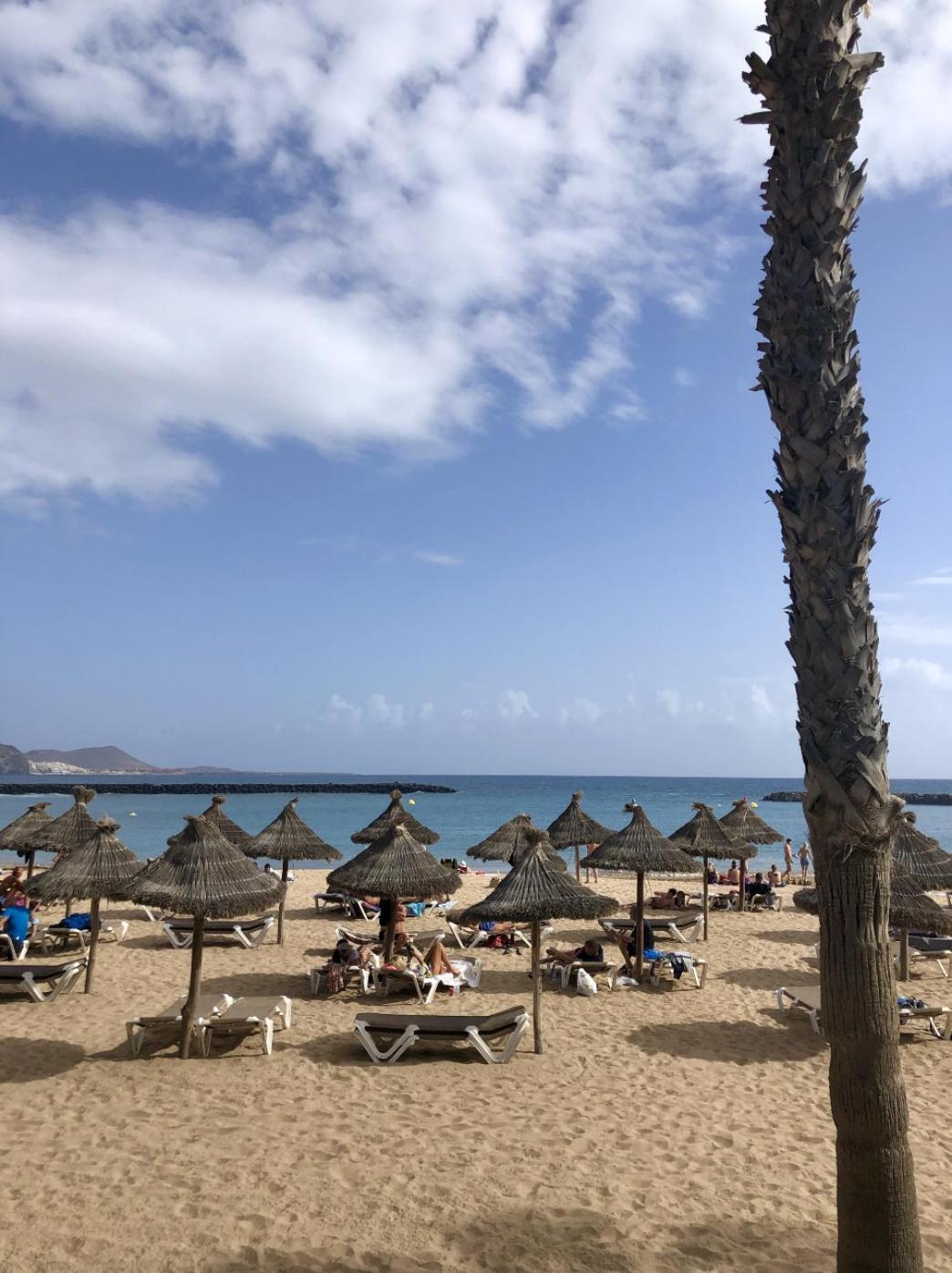 Apartament Patio Canario * Escape / 2 Rooms, 2 Terraces & Pool Arona (Tenerife)